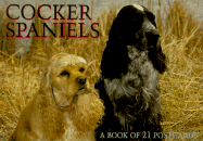 Cocker Spaniels Postcard Book
