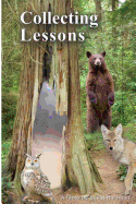 Collecting Lessons: A Fable