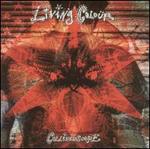 Collidescope [DualDisc] - Living Colour