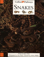 Collins Pathways Big Book: Snakes Stage 5