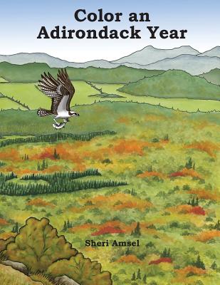 Color an Adirondack Year - Amsel, Sheri