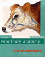 Color Atlas of Veterinary Anatomy: Volume 1, the Ruminants