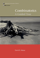 Combinatorics: A Guided Tour