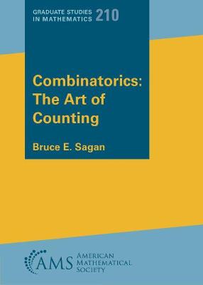 Combinatorics: The Art of Counting - Sagan, Bruce Eli