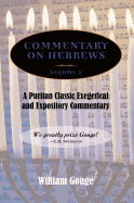 Commentary on Hebrews: Exegetical and Expository - Vol. 2 (8-13)