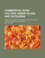 Commercial Rose Culture Under Glass and Outdoors; A Practical Guide to Modern Methods of Growing the Rose for Market Purposes