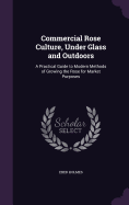 Commercial Rose Culture, Under Glass and Outdoors: A Practical Guide to Modern Methods of Growing the Rose for Market Purposes
