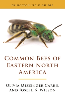 Common Bees of Eastern North America - Carril, Olivia Messinger, and Wilson, Joseph S