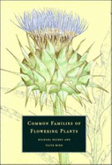 Common Families of Flowering Plants