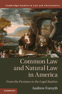 Common Law and Natural Law in America: From the Puritans to the Legal Realists