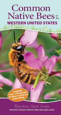 Common Native Bees of the Western United States: Your Way to Easily Identify Bees and Look-Alikes - Bartlett, Ryan