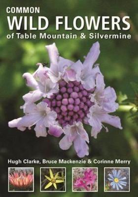 Common Wild Flowers of Table Mountain & Silvermine - Clarke, Hugh