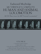 Complete Human and Animal Locomotion