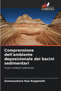 Comprensione dell'ambiente deposizionale dei bacini sedimentari