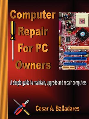 Computer Repair for PC Owners - Balladares, Cesar