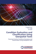 Condition Evaluation and Classification Using Geospatial Tools
