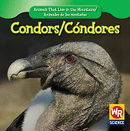 Condors / Cndor