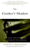 Condor's Shadow