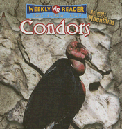 Condors - Macken, JoAnn Early