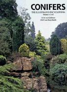 Conifers: The Illustrated Encyclopedia