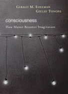 Consciousness: How Matter Becomes Imagination