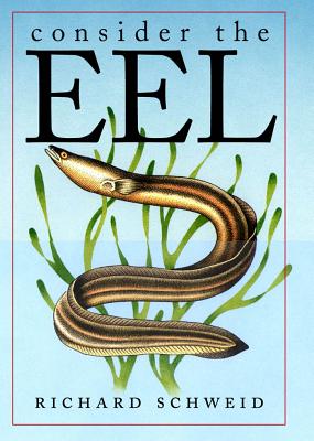 Consider the Eel - Schweid, Richard