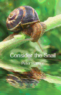 Consider the Snail