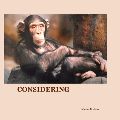 Considering - Brickner, Marian