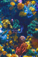 Coral Reef: Journal for Marine Biologists & Ocean Lovers Everywhere