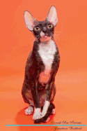 Cornish Rex Affirmations Workbook Cornish Rex Presents: Positive and Loving Affirmations Workbook. Includes: Mentoring Questions, Guidance, Supporting You.