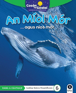 COSN NA GEALA An Mol Mr: 4th Class Non-Fiction Reader 6