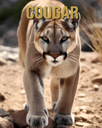 Cougar: Amazing Picture and Facts About Cougar for Children's