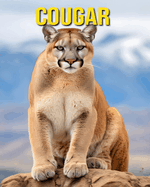 Cougar: Fun and Amazing Pictures About Cougar