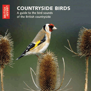Countryside Birds: An Audio Guide to the Bird Songs of the British Countryside- CD with Booklet