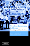 Courting Democracy in Mexico: Party Strategies and Electoral Institutions