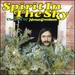 Spirit in the Sky: the Best of