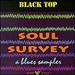 Soul Survey: a Blues Sampler [Audio Cd]