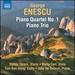 Enescu: Piano Quartet No. 1 [Stefan Tarara; Molly Carr; Eun-Sun Hong; Josu De Solaun] [Naxos: 8573616]