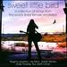 Sweet Little Bird: A Collection Of Songs From The Word's Finest Female Storytellers