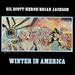 Winter in America (Reis)