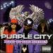 Purple City-Road to the Riches (the Best of the Purple City Mixtapes) [Pa]-Cd