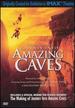 Journey Into Amazing Caves [Dvd]