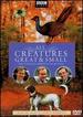 All Creatures Great & Small-the Complete Series 2 Collection