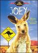 Joey [Dvd]