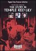 The Story in Temple Red Lily