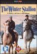The Winter Stallion: a Story of Love and Hope