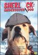 Sherlock-Undercover Dog