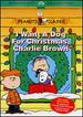 I Want a Dog for Christmas, Charlie Brown [Dvd]