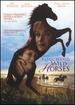 Touching Wild Horses [Dvd]