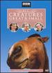 All Creatures Great & Small-the Complete Series 5 Collection [Dvd]